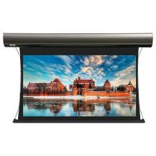 Экран для проектора Lumien Cinema Tensioned Control (16:9) 159 198x352 Matte White / White Body