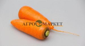 Морковь абако F1 1,4-1,6 (1 000 000 семян) Seminis