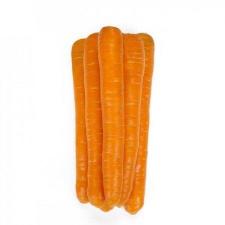Морковь морелия F1 1,6-1,8 (1 000 000 семян) Rijk Zwaan