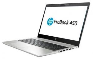 Ноутбук HP ProBook 450 G6 (8MG37EA) (Intel Core i5 8265U 1600 MHz/15.6quot;/1920x1080/8GB/256GB SSD/DVD нет/Intel UHD Graphics 620 /Wi-Fi/Bluetooth/DOS)
