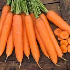 Морковь сиркана F1 1,6-1,8 (1 000 000 семян) Nunhems