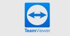 TeamViewer AddOn Дополнительный канал годовая лицензия