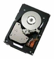 Жесткий диск IBM 300 GB 00NA626