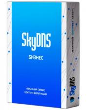 SkyDNS Бизнес. 70 лицензий на 1 год (SKY_Bsn_70)