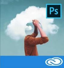 Подписка (электронно) Adobe Photoshop for enterprise 1 User Level 14 100+ (VIP Select 3 year commit), 12 Мес.