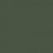 Краска Sherwin-Williams SW 0065 Vogue Green A-100 Flat 19 л (на 152-190 кв.м в 1 слой, акриловая, антибактериальная, для фасада) матовая