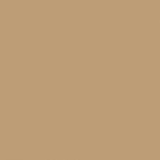 Краска Sherwin-Williams SW 7695 Mesa Tan Super Paint Flat 19 л (на 152-190 кв.м в 1 слой, воднодисперсионная, акриловая, моющаяся, для стен и потолка) матовая