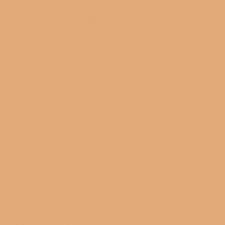 Краска Sherwin-Williams SW 9011 Sun Bleached Ochre SherLastic Elastomeric 19 л (на 118-138 кв.м в 1 слой, акриловая, для фасада) полуматовая