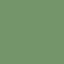 Краска Sherwin-Williams SW 9040 Reseda Green Super Paint Flat 19 л (на 152-190 кв.м в 1 слой, воднодисперсионная, акриловая, моющаяся, для стен и потолка) матовая