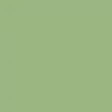 Краска Sherwin-Williams SW 6724 Mesclun Green Super Paint Flat 19 л (на 152-190 кв.м в 1 слой, воднодисперсионная, акриловая, моющаяся, для стен и потолка) матовая