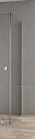 Stream-100-FIX-C-Cr Универсальная боковая панель Cezares 100x195 см без пристенного профиля