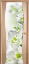 Оникс / Фортрез Межкомнатная дверь шпон Грация со стеклом или зеркалом от производителя Цвет: мокко
