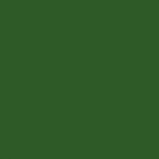 Краска Bradite цвет Leaf green RAL 6002 Floor 10 л