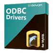 Devart ODBC Driver for SQLite Desktop for macOS License Арт.