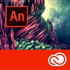 Подписка (электронно) Adobe Animate CC / Flash Professional CC for teams Продление 12 Мес. Level 2 10-49 лиц. Education Named