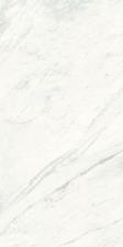 Керамогранит Graniti Fiandre Marmi Premium White Luc Book A 150x300