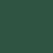 Краска Bradite цвет Pine green RAL 6028 Pliolite Masonry 10 л
