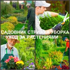 Услуги садовника в Воронеже и Воронежской области