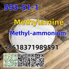 CAS 593-51-1 Methylamine hydrochloride LT-S9151 good price with high qualtiy