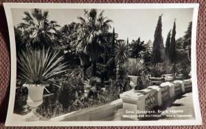 Открытка "Сочи. Дендрарий. Вид с террасы центральной лестницы". 1952 год