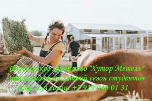 Для работы на ферме «Хутор Метель», на летний сезон, приглашаем студентов.