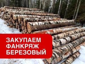 Фанкряж березовый от 22 см