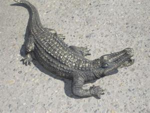 Крокодил бронзовый